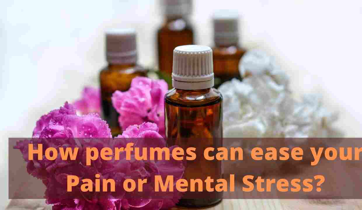 How perfumes can ease your Pain and Stress in your mind?
