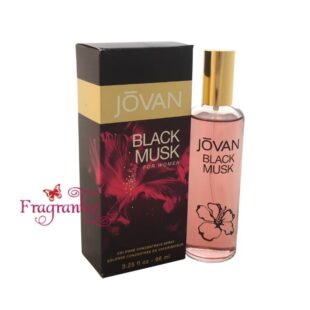 Jovan Black Musk Cologne Concentrate Spray